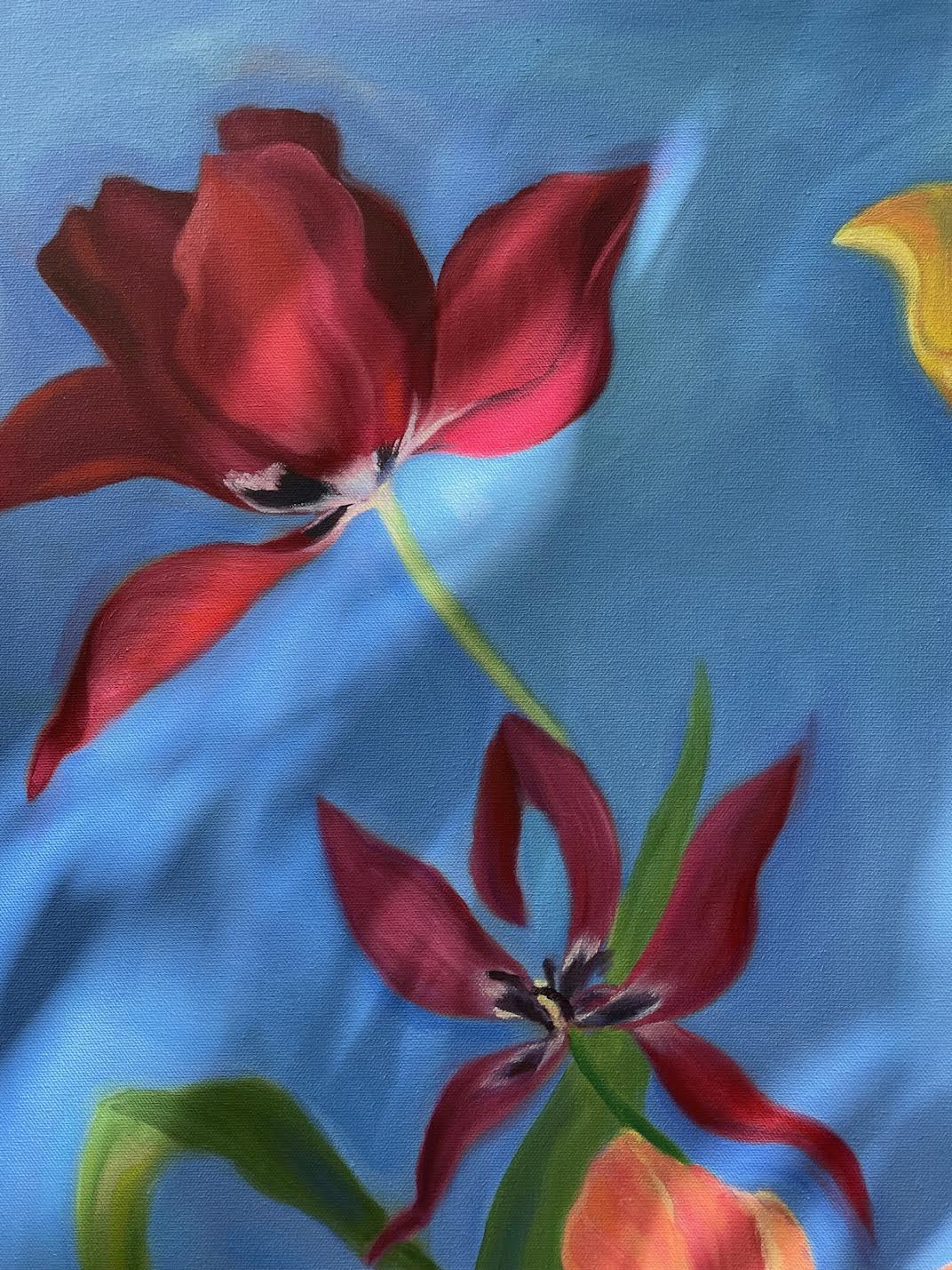 Tulips