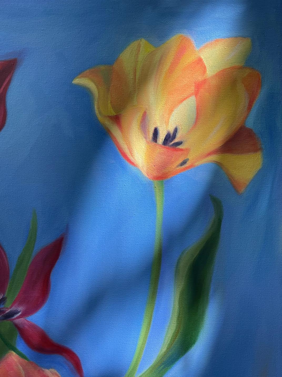 Tulips