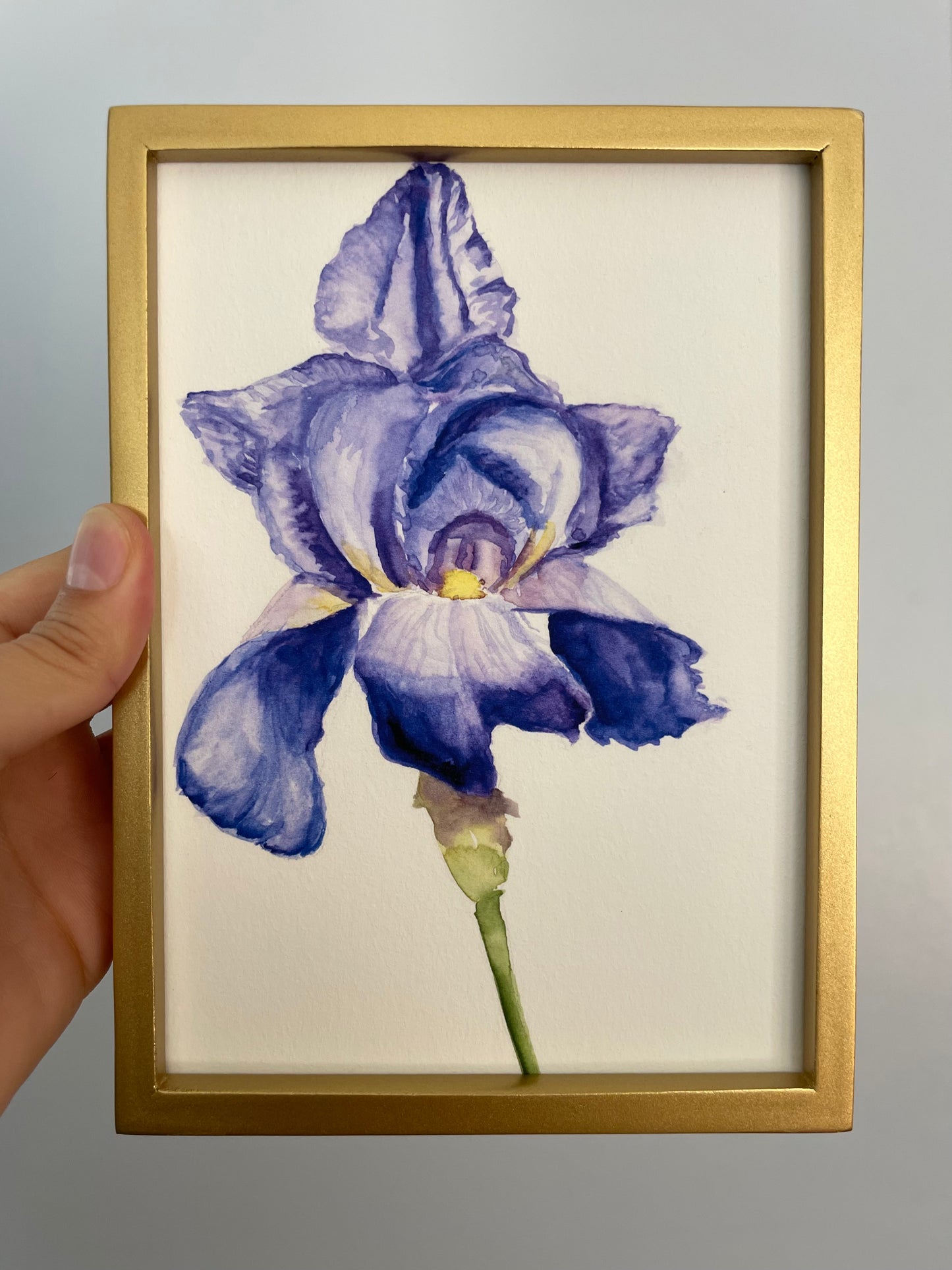 Purple Iris: Unfolding print