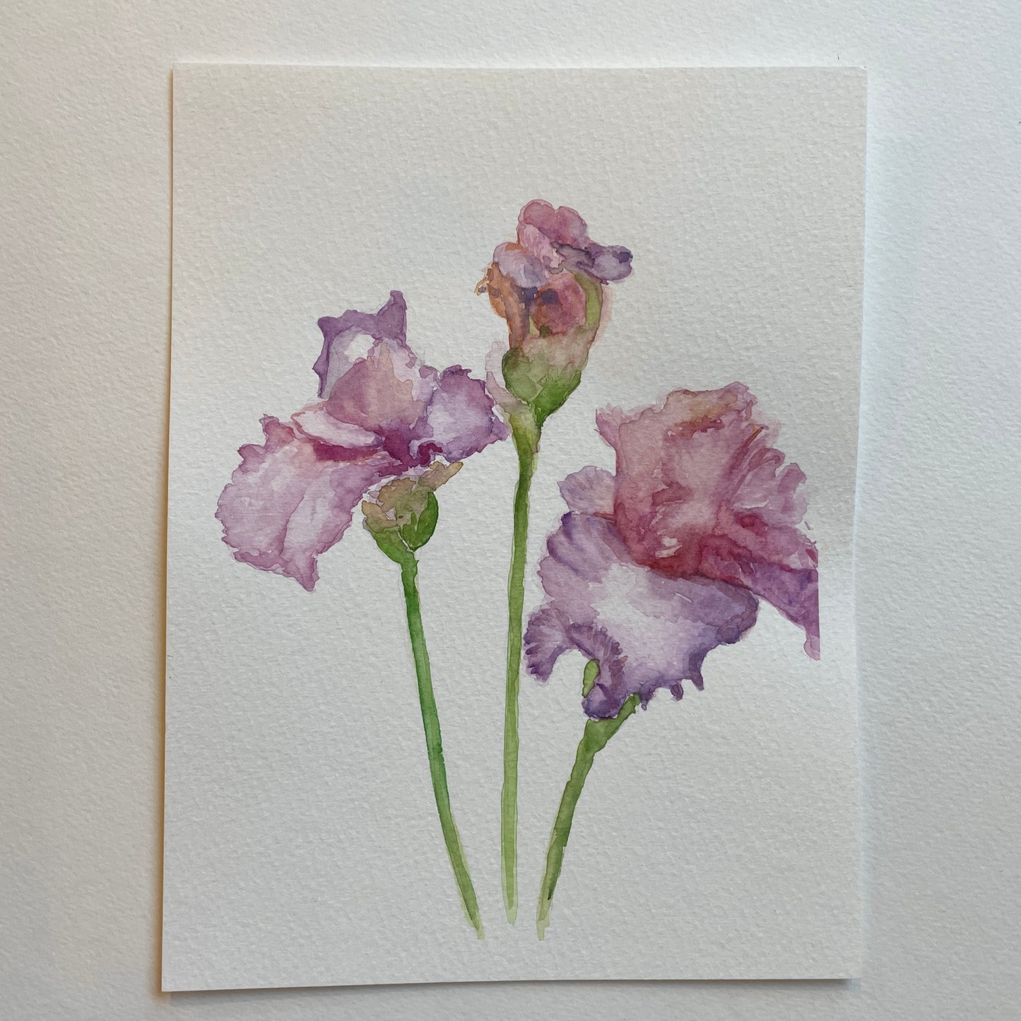 Pale Pink Iris: Together