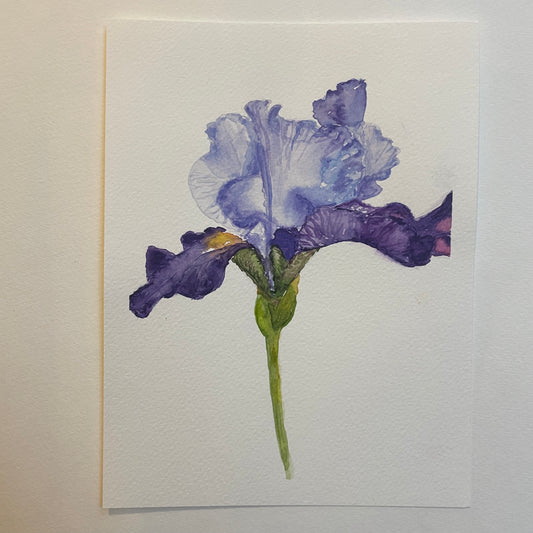 Purple Iris: Reaching