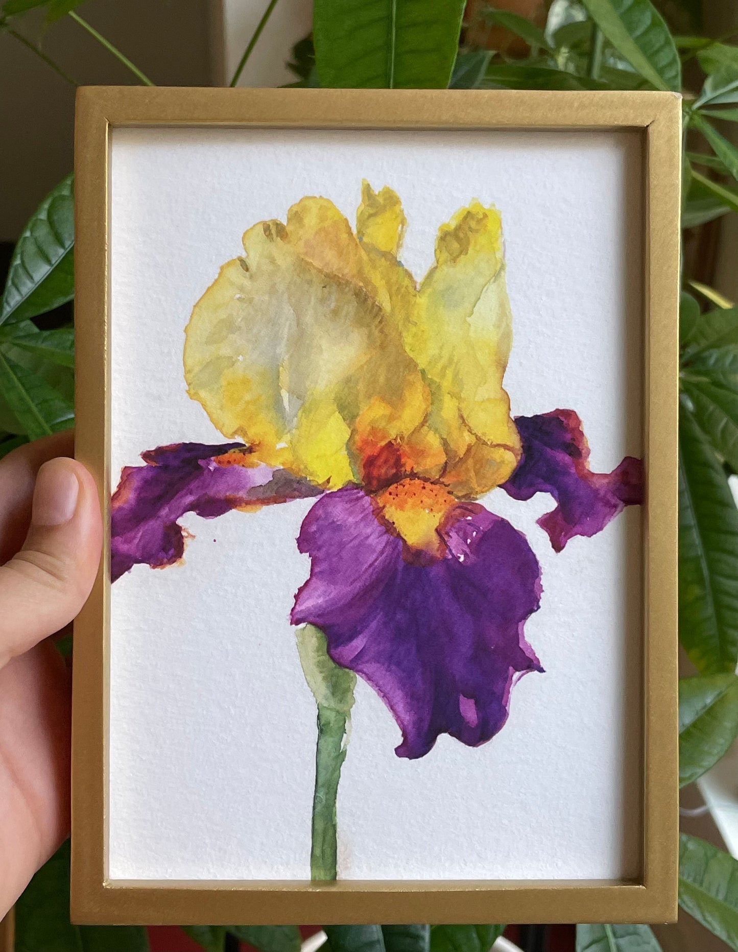 Sunset Iris: Purple print