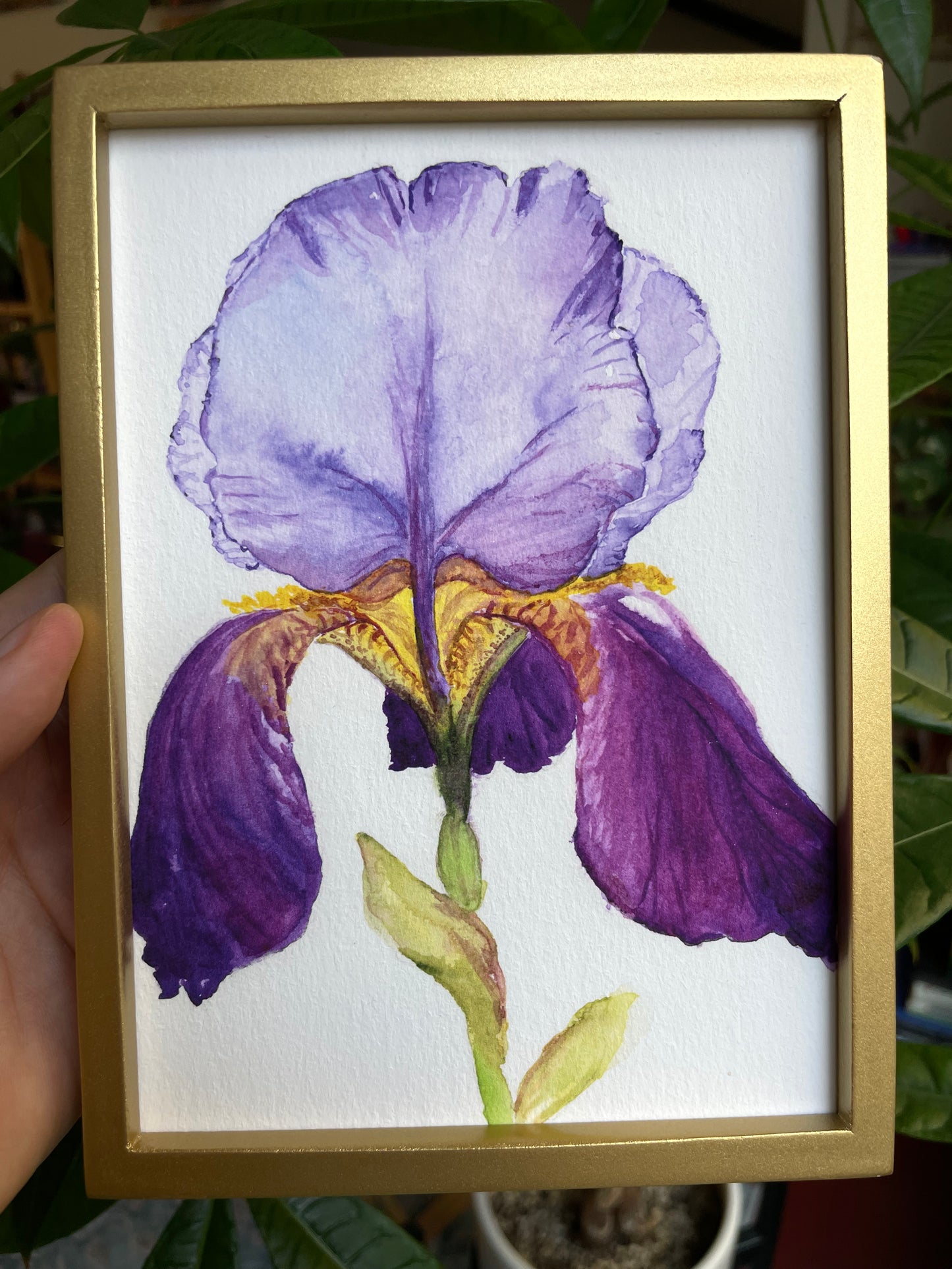 Purple Iris: Relaxing print